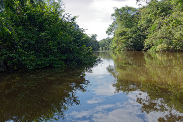 Fototapeta na wymiar The Cuyabeno River in Cuyabeno Wildlife Reserve (Amazonia, Ecuador)
