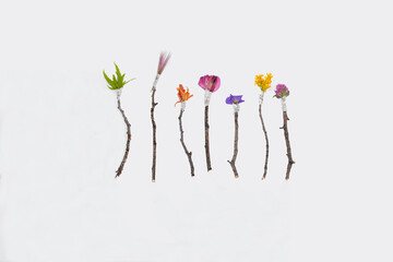 A nature based conceptual image of twigs and flower parts arranged to look like different colored paint brushes. Conceptually the idea being expressed is that these are Mother Nature's paint brushes.