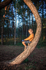 Boy sitting alone on tree in forest with digital device, physical distancing and online education
