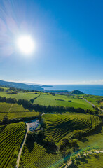 Fototapeta na wymiar Panoramic view over the Landscape in the Tea Plantation Zone of Gorreana in the island of São Miguel, Azores, Portugal