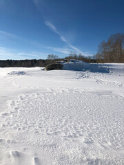Fototapeta na wymiar Vertical beautiful cold winter landscape. Amazing white photo