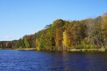 Die Krumme Lanke im Herbst bei Sonnenschein und blauem Himmel