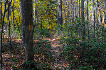 Grand Canyon of Pennsylvania, Pine Creek Gorge, Barbour Rock Trail
