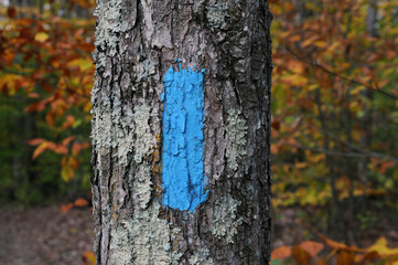 Trail blaze tail marker blue