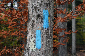 Trail blaze tail marker blue