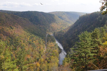 Grand Canyon of Pennsylvania, Pine Creek Gorge, Barbour Rock Trail