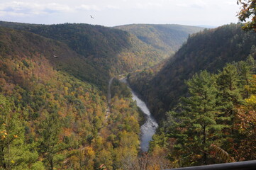 Grand Canyon of Pennsylvania, Pine Creek Gorge, Barbour Rock Trail