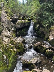 waterfall in the forest