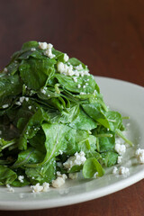 Garden salad. Classic American salad with iceberg lettuce, blue cheese dressing, red onions, bacon lardons, Parmesan cheese, olive oil, lemon juice, salt and pepper. A Fine dining restaurant classic.