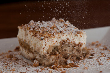 Tiramisu Dessert. Classic Italian dessert. Lady fingers soaked in syrup, espresso and layered with cream, nuts and powdered sugar.
