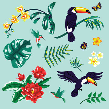 Set with tropical leaves, flowers and birds 