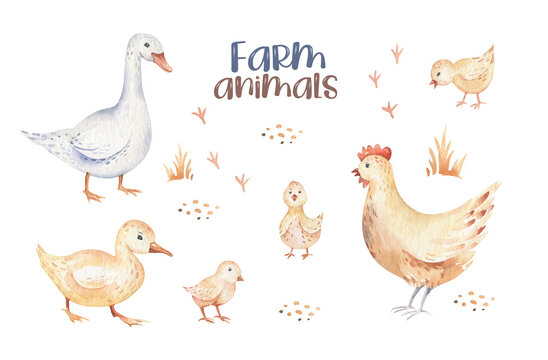 Farms animal set. Cute domestic farm pets watercolor illustration. horse. goose. pig. goat. chicken. sheep. cow