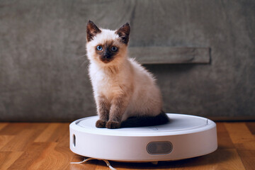 Cat on robotic vacuum cleaner in house