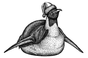 black and white linear paint draw penguin illustration