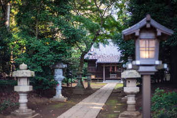 Fototapeta premium 神社の境内