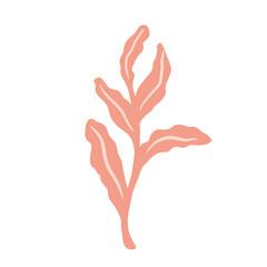 Foliage on twigs isolated on white background. Scandinavian botanical pink color sketch in hand drawn.