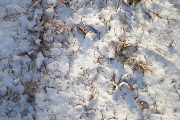 snow on the ground