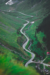 Road surrounded by green nature, aerial drone