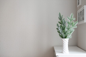 new year decor minimalistic composition of fir tree branches in vase