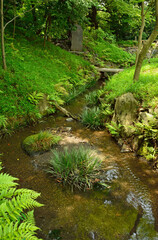 小石川後楽園・龍田川