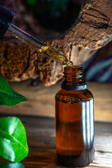 Essential oil in glass bottle on nature background