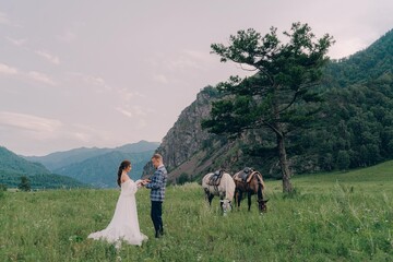 Naklejka premium A wedding couple stands near horses on a background of mountains in Altai
