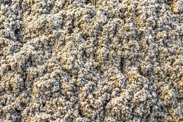 Sand nature texture as background, top view