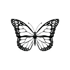 Black color Butterfly Top Shot Vector Illustration on white background