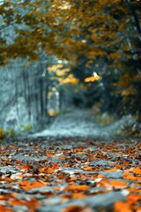 Beautiful autumn landscape with fallen dry red leaves, road through the forest and yellow trees.turkey