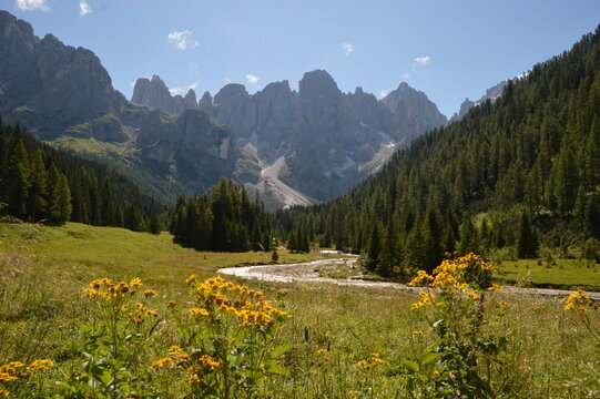 Hiking in the lush and dramatically beautiful Val di Fiemme and Passo Rollo in the Dolomites, Northern Italy