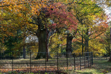 Gardens of Pembrook lodge in autumn