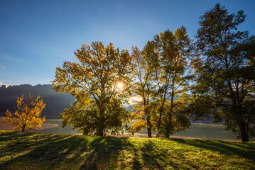 an into the light autumn shot in the lake of Gramolazzo, Tuscany regional park of Apuan Alps