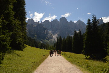 Fototapeta na wymiar Hiking in the lush and dramatically beautiful Val di Fiemme and Passo Rollo in the Dolomites, Northern Italy
