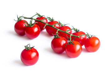 Small red cherry tomatoes, on a thin, green branch