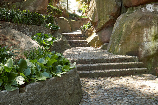 Escalinatas de piedra en un parque