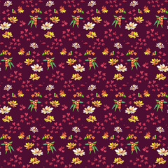 White and yellow flowers. Burgundy color background. Vector