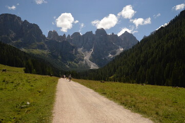Obraz premium Hiking and climbing in the stunning valleys and mountains of Val di Fiemme in the Dolomites, Italy