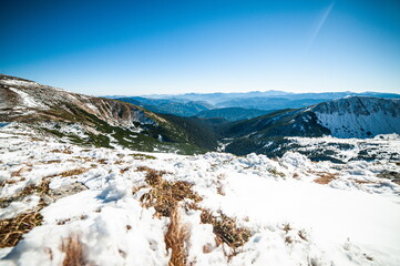 Majestic white spruces glowing by sunlight. Picturesque and gorgeous wintry scene. Location place Carpathian national park, Ukraine, Europe. Alps ski resort. Blue toning.