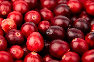 Cranberries, fresh red berries food background