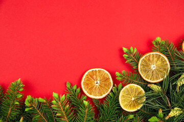 Fototapeta na wymiar Fir tree and pine branches with dried orange slices on red background