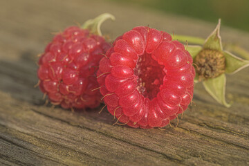 raspberries on a wooden background