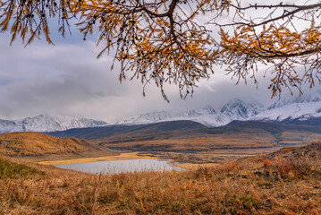 mountains lake forest larch autumn cloudy