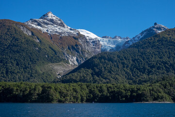 Fototapeta na wymiar landscape of a river in a forest - patagonia argentina