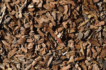 Bark. Garden. Texture. Surface. Background