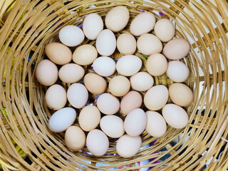 Yellow and white eggs in a basket.