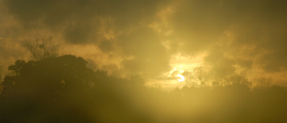 Lever de soleil derrière une haie d'arbres, à travers des nuages, un matin brumeux créant un halo de lumière, format bannière
