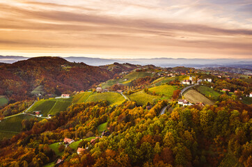 Aerial view of Vineyard on an Austrian countryside with a church in the background