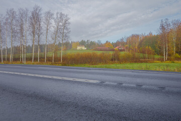 Autumn, foggy morning, birch forest by the road finland, scandinavian nature.