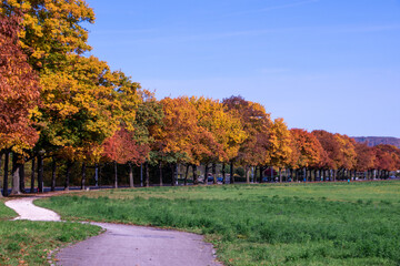 Bright foliage colors in Autumn, Riehen Switzerland	
