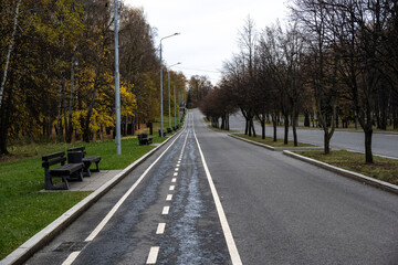 Fototapeta premium yellow leaves in the park on the ground and on benches
